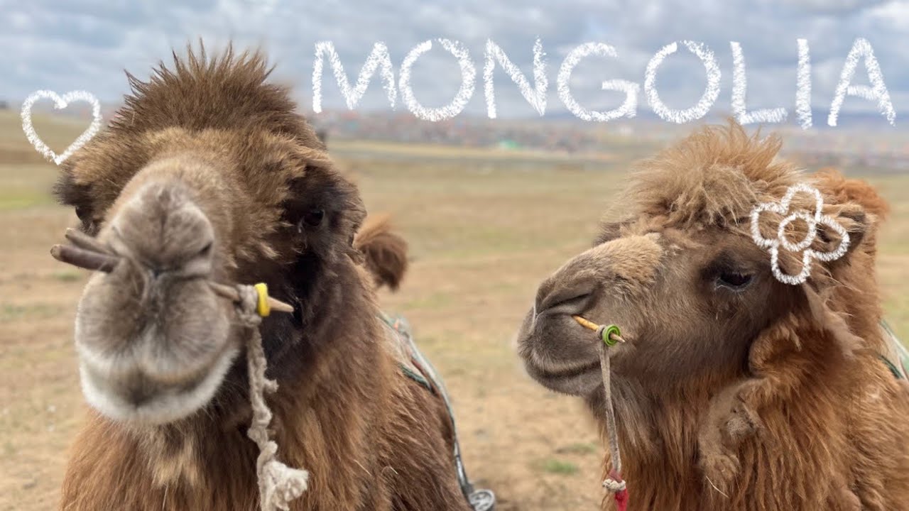 하늘숲기독학교-4박 5일 몽골여행 (Mongolia)