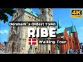 [4K] RIBE WALKING TOUR - DENMARK`S OLDEST TOWN - THE FIRST VIKING CITY IN SCANDINAVIA