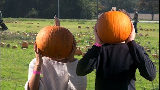FALL DATE! (pumpkin patch, corn maze etc)