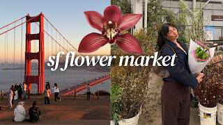 SF Flower Market Vlog | Shopping for Flowers + Making a Bouquet