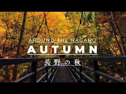 Relaxation film - Amazing Fall Foliage in JAPAN 信州高山村