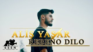 Aliş Yaşar 'REBENO DILO'   2023 Resimi