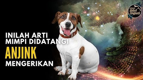 Inilah Arti Mimpi Dikejar Anjing Menurut Islam