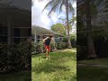 Clean webster flip! #parkour #tricking #acrobatics #gymnastics #flips #backflip