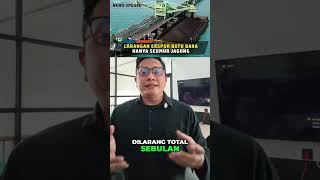 Listrik Padam Gara-gara Batu Bara? Ini Akar Masalahnya! #shorts
