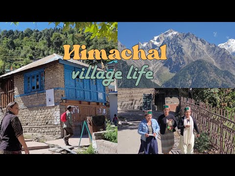 Village Life in Himachal- Kothi Village Kinnaur, Chandika Temple @apnahimachaltv