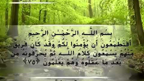 Moustafa Haredy  El Baqarah Ayah 75 -76 | مصطفى هريدى - سورة البقرة - من أية 75-76