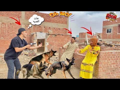 لما اخوك الصغير يجيب ل امك وابوك كلاب عشان يدوله العديه في العيد