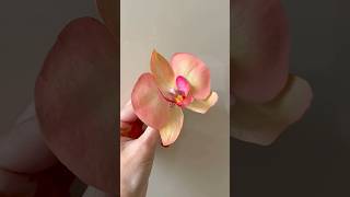 WAFER PAPER Moth Orchids Phaleanopsis • no  wires !! 🌺😍