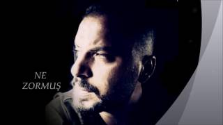Bi̇nevi̇deli̇ : Ne Zormuş