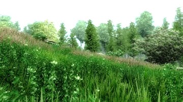 Oblivion Graphics Extender Settings + ENB HD