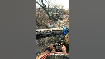 Dismantling DANGEROUS Widow-Maker #treeclimbing #tree #treeclimber #arblife #treeclimbingequipment