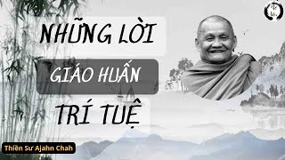 HÃY LẮNG NGHE NHỮNG LỜI GIÁO HUẤN TRÍ TUỆ | Thiền Sư Ajahn Chah | RẤT HAY NGHE TĂNG TRƯỞNG TRÍ TUỆ |