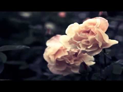 CHUCHO AVELLANET - UNA ROSA ROJA - YouTube