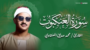 تلاوة توقظ الإيمان وتهدّئ القلوب... أرح سمعك | سورة العنكبوت كاملة | الشيخ محمد صديق المنشاوي 🎧