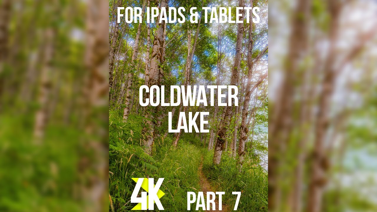 4K Vertical Forest ASMR Video for iPads & Tablets | Scenic Trail Near Coldwater Lake - Ep 7