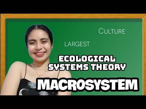 ვიდეო: რა არის მაკროსისტემის მაგალითი?