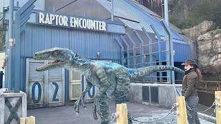 Raptor Encounter - Velociraptor Blue - Universal Studios Hollywood