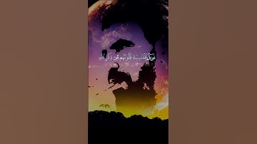 أرح سمعك ولو لبضع ثوان #قرآن #تلاوة_خاشعة #راحة_نفسية #explore #اكسبلور #دويتو #لايك