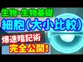【生物基礎 5】細胞【細胞の大小比較】を宇宙一わかりやすく