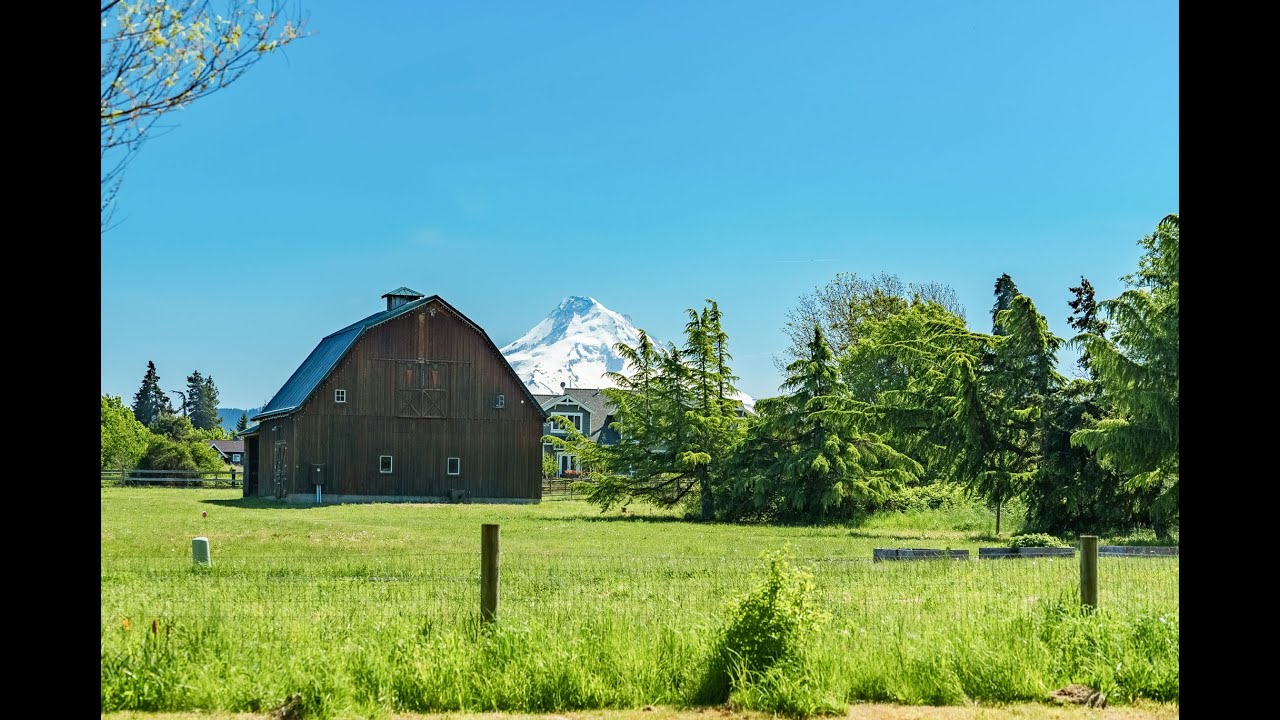 Elegant Craftsman Home with Mt. Hood Views | 4069 Post Canyon Dr, Hood River, OR