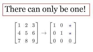 Celebrity Uniqueness of Reduced Row Echelon Form Wealth
