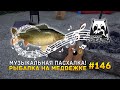 Музыкальная Пасхалка! Рыбалка на Медвежке - Русская Рыбалка 4 #146
