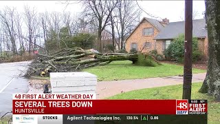 Downed trees and powerlines impact Blossomwood community in Huntsville