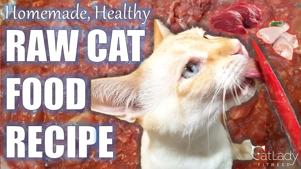 How To Make Raw Cat Food Chicken Beef Version Homemade