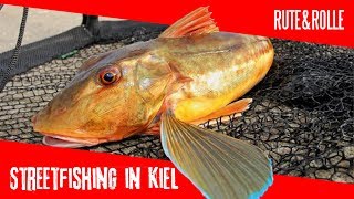 RUTE&ROLLE: Streetfishing in Kiel auf Heringe / Plattfische / Meerforellen / Dorsch / Spinnfischen