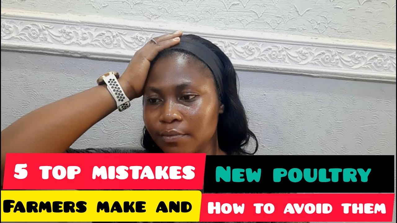 5 TOP MISTAKES NEW POULTRY FARMERS MAKE AND HOW TO AVOID THEM | VLOGMAS ...