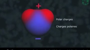 7  CẤU TẠO PHÂN TỬ NƯỚC