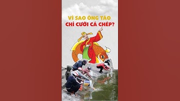 Vì sao ông Táo chỉ cưỡi cá chép vàng lên chầu trời?!! | Tập 23 Series "Bạn Có Biết Không?" #dot