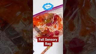 Fall Leaves Sensory Bag | Twinkl USA