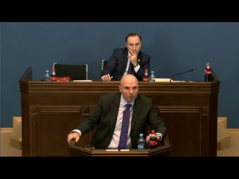 შალვა თადუმაძის მოსმენა პარლამენტში   ნაწილი4