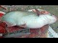 Big Pangasius &amp; Rohu Fish Cutting Skills | Satisfying Fish Cleaning and Cutting Compilation