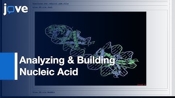 Analyzing & Building Nucleic Acid Structures With 3DNA l Protocol Preview