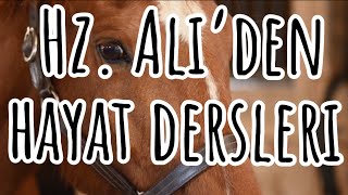 Hz. Aliden Hayat Dersleri