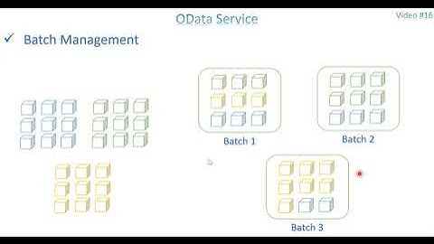 Video 16: OData Service - Batch Process (GET) Part 1