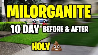 Milorganite  Before and After day 1 through day 10  deeper green lawn? You have to see the results