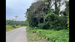 Triangle Shaped 2 Rai Land Plot For Sale In Sai Thai, Krabi