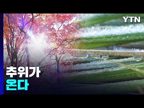 [날씨] 다음 주 기온 '뚝'..."영하권 초겨울 추위 온다" / YTN