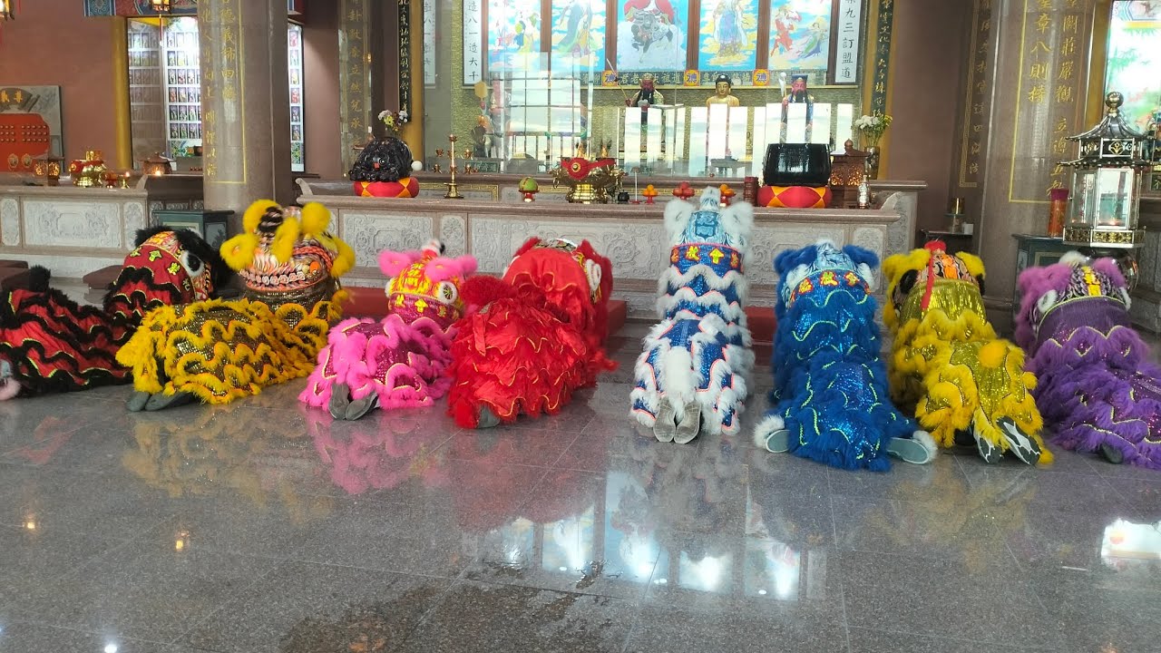 2024.11.24 在新阁参神咯  龙麒狮! 我们从不可能 成为了现在的坚定不移的我们 从舞狮 到 龙麒狮 一步一步的努力  我们不会退步 只会更努力的去前进 ！你们永远都是最棒的！