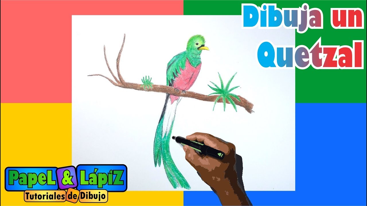 Aprende A Dibujar Y Pintar Un Quetzal Youtube