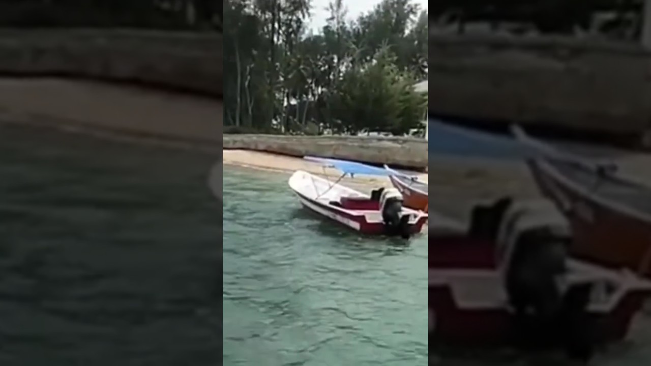 𝘉𝘰𝘳𝘯𝘦𝘰’𝘴 𝘏𝘪𝘥𝘥𝘦𝘯 𝘎𝘦𝘮: 𝘗𝘶𝘨𝘶, 𝘓𝘶𝘯𝘥𝘶 𝘈𝘸𝘢𝘪𝘵𝘴 𝘠𝘰𝘶! 🌿🌊 