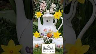 Królewska wiosna z Rosenthal Balmoral 🌸