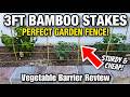 3FT Bamboo Stakes Review: Perfect Garden Fence & Vegetable Barrier!