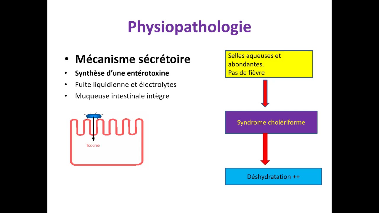 3.02 Toxi-infections alimentaires communes (TIAC)