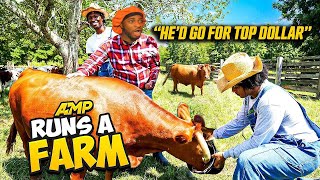 AMP RUNS A FARM (REACTION)