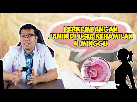 Video: Apakah implantasi terjadi pada 4 minggu?